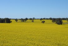 L.S. 様からのお便り 前世が昇華されるとき