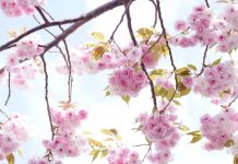 ブライアン・ワイス博士のワークショップ