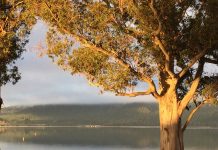 アカシックレコード・ヒプノセラピー