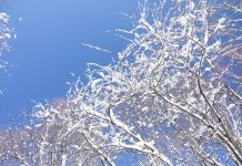 H.S.様 『ヒプノグラウンディングCD』を通して、地球意識とつながる