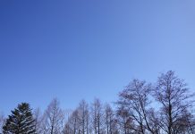 朝晴れエッセー 月間賞その後