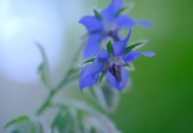 朝晴れエッセーに掲載されました