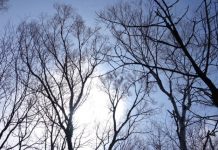 東日本大震災から10年