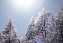 今年もありがとうございました